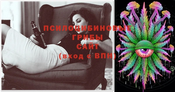дурь Вяземский