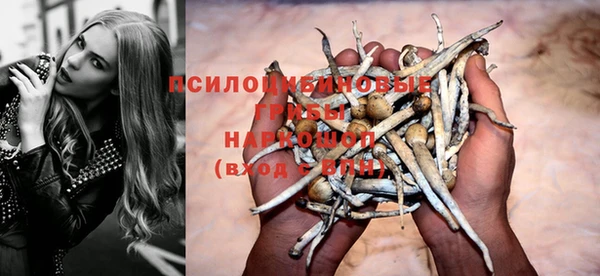 дурь Вяземский