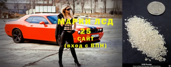 дурь Вяземский